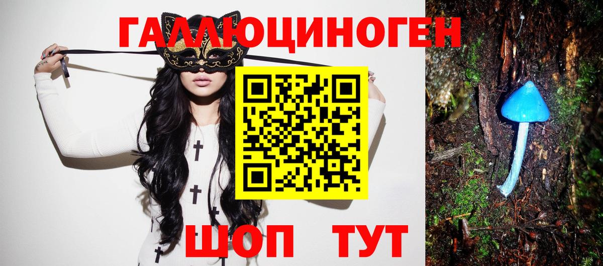 Галлюциногенные грибы Psilocybine cubensis Великие Луки