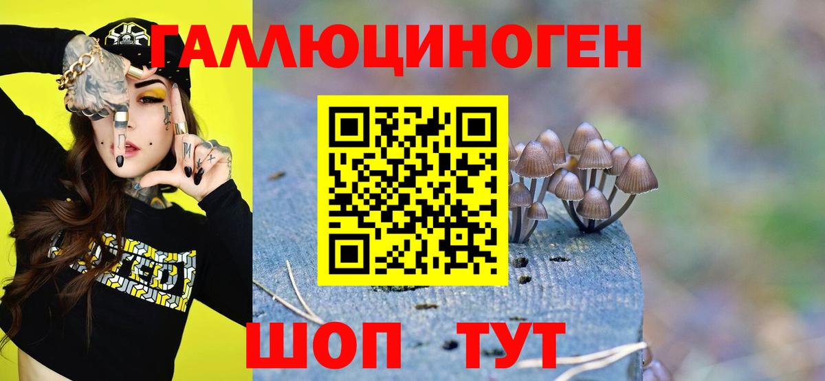 Галлюциногенные грибы Psilocybine cubensis  Вход с VPN  дарнет шоп  Великие Луки 